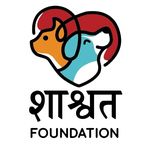 Your contribution can save a life - Shashwat Foundation: Animal Welfare and  Rights NGO in Pune